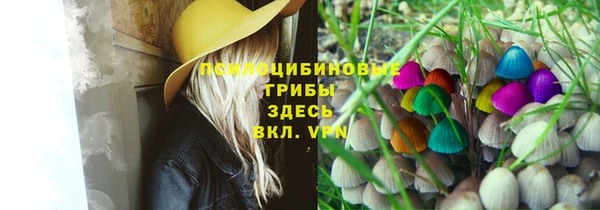apvp Алзамай