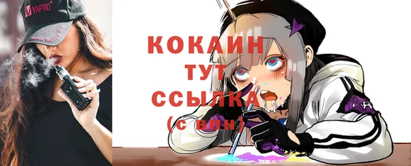 apvp Алзамай