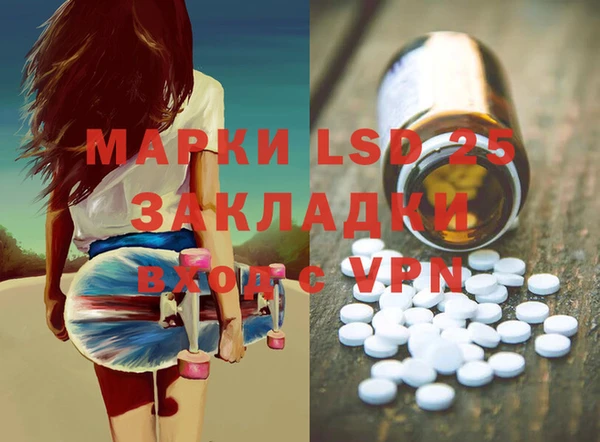 apvp Алзамай