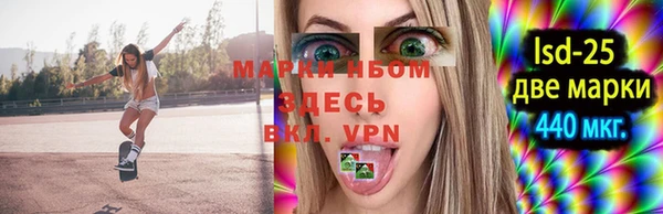 apvp Алзамай