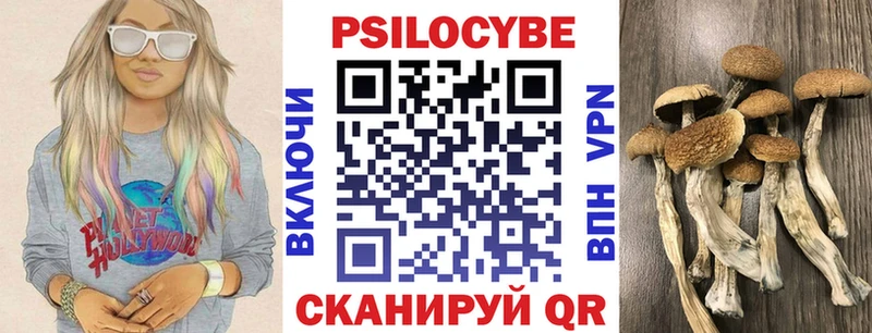 Псилоцибиновые грибы ЛСД  блэк спрут рабочий сайт  Сельцо 